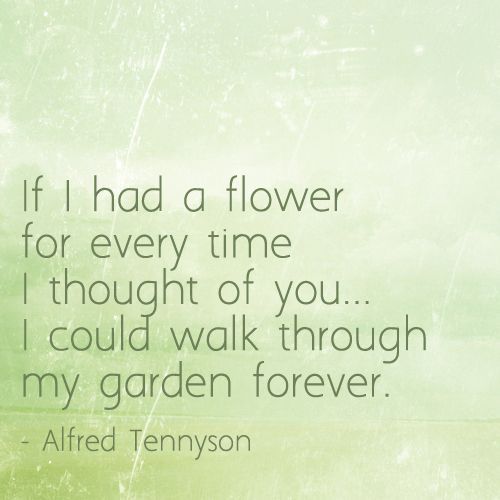 if I had a flower #quotes #InLove #thebeautyofone #AlfredTennyson