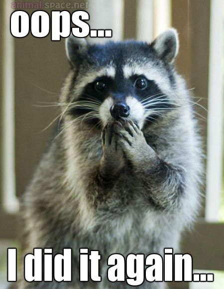 #lol #funny #raccoon #animals #funny animals
Funny raccoon