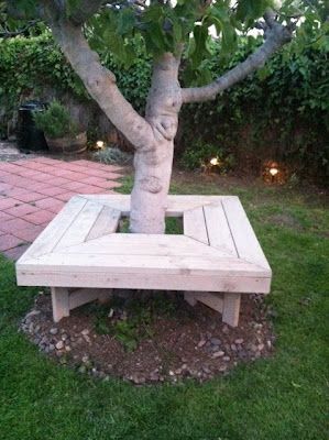 love this bench around the tree