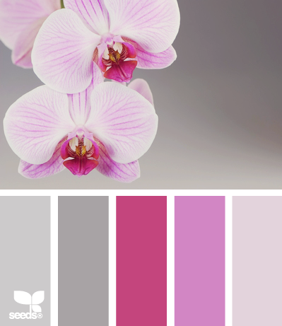 orchid tones — kind of. I like the greys with the pinks. but maybe instead of a