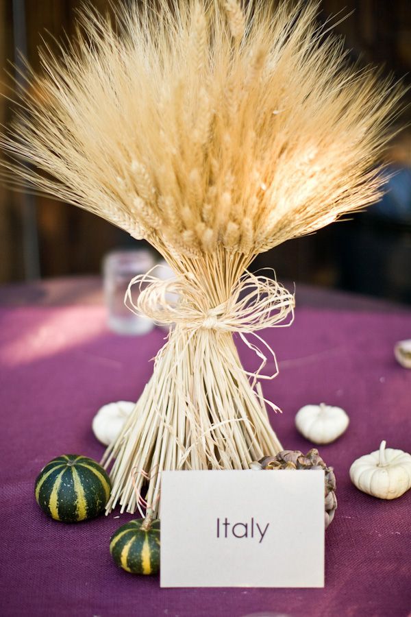 table names: all the places you've been together.  And love the wheat center
