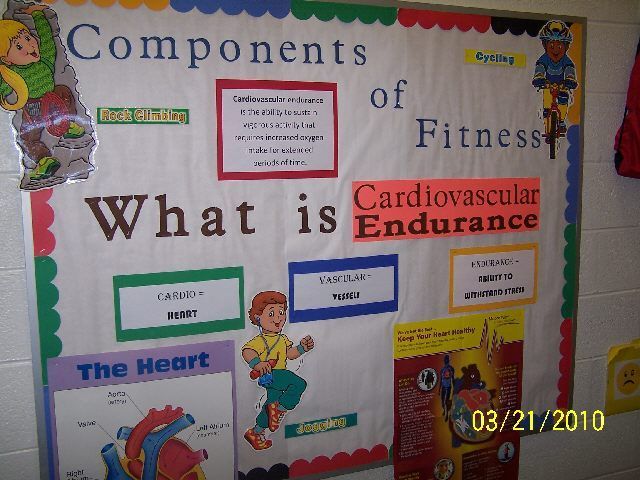 PEC: Bulletin Boards for Physical Education