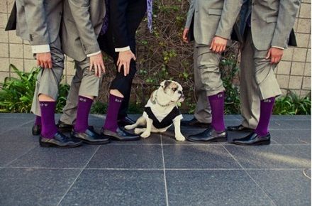 Too cute! Can you see your favorite men wearing matching purple socks?