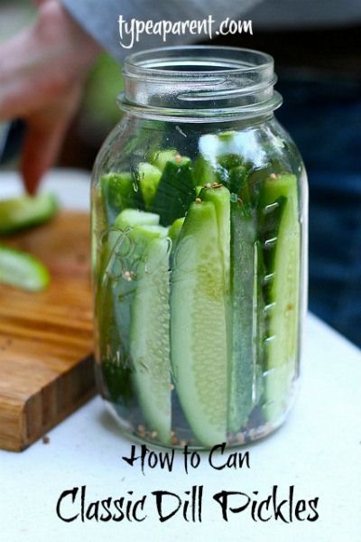 classic dill pickles canning recipe