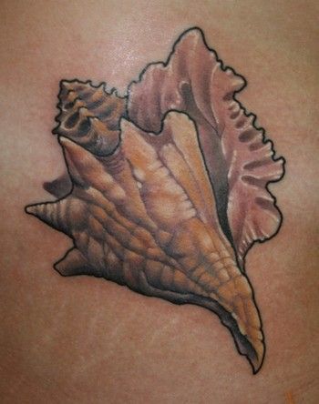 tattoo shells | Chris Reed – Conch shell, on the hip