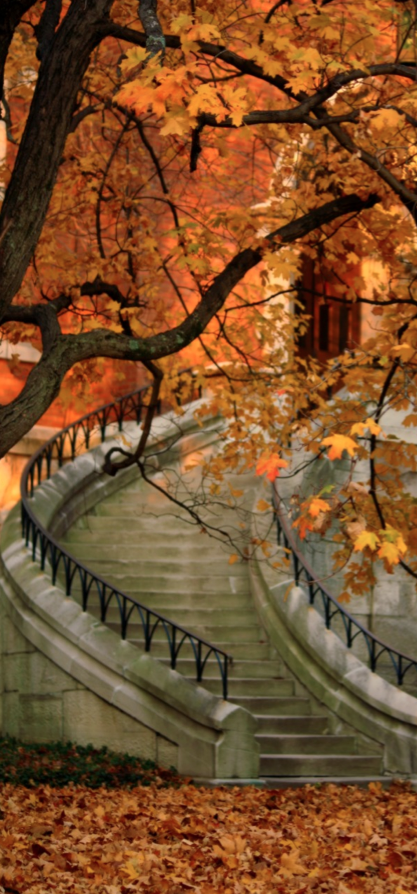 Autumn stairway at Vanderbilt University in Nashville, Tennessee вЂў photo: fall