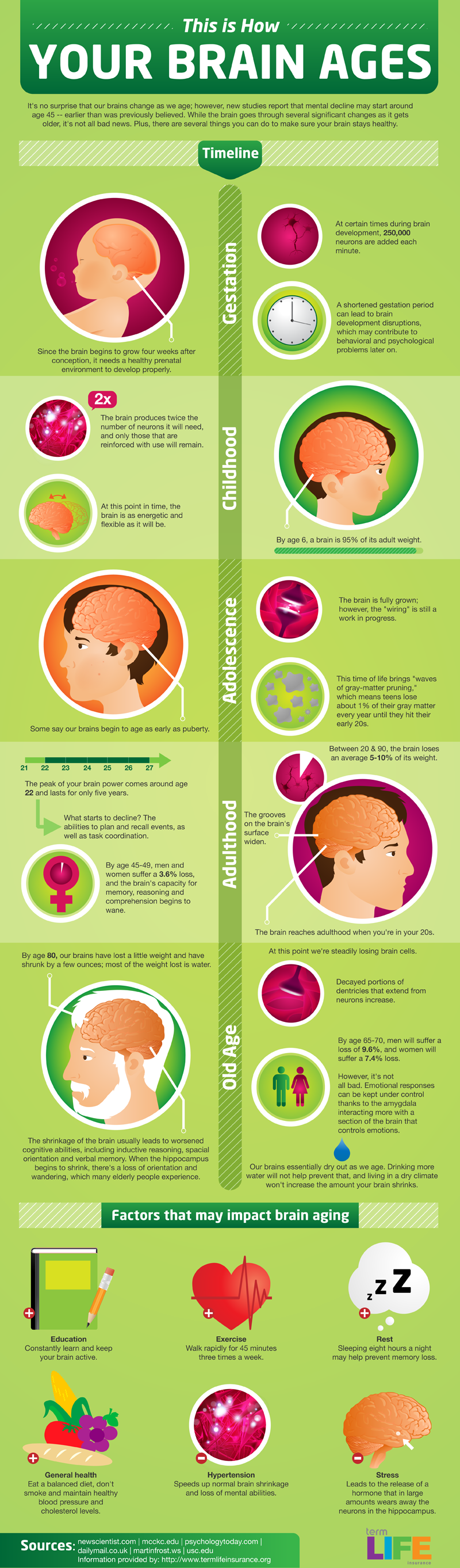 How Your #Brain Ages #Infographic