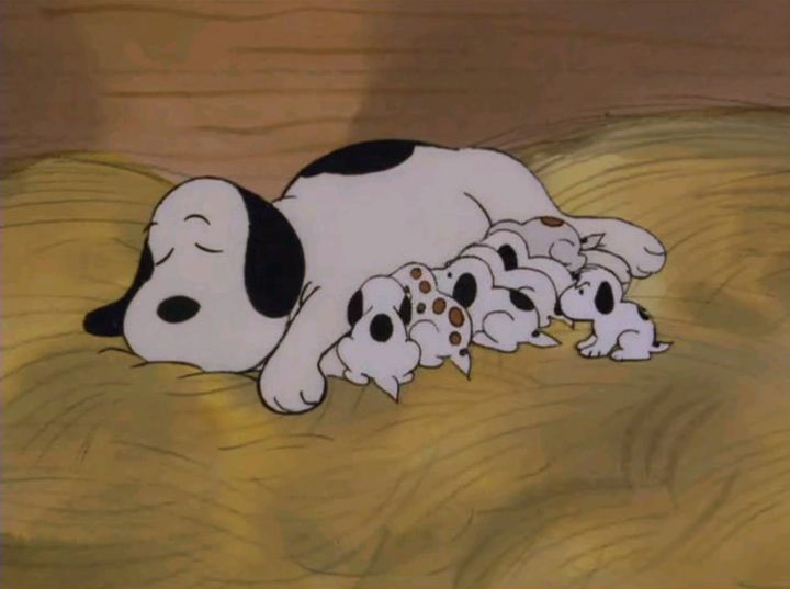 Missy (Snoopy's mom, Peanuts)    I know she isn't a real animal but stil
