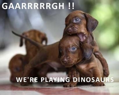 Playing Dinosaurs by Crusoe the Celebrity Dachshund, via Flickr