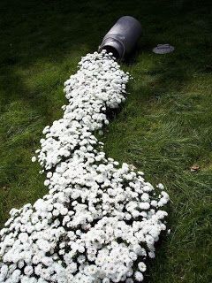 Cool landscape idea for outside the home