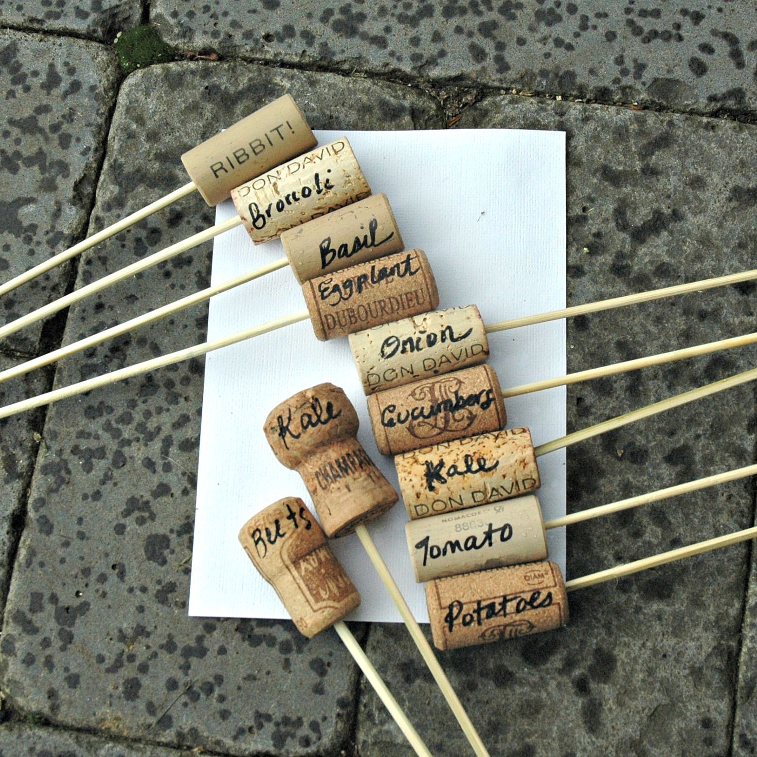 Cork Labels for the Garden