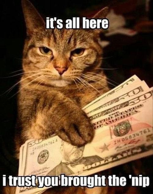 lol any cat would make this deal!