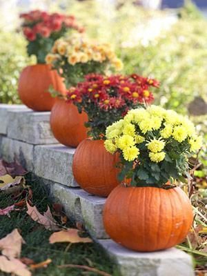 pumpkin flower pots
