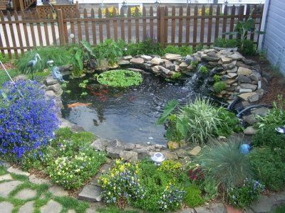 Small backyard pond…nice