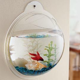 Solutions – Wall Hanging Fish Bowl. This is awesome…no one wants the fish bowl
