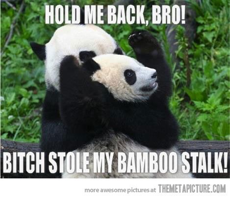 Hold me back, bro!