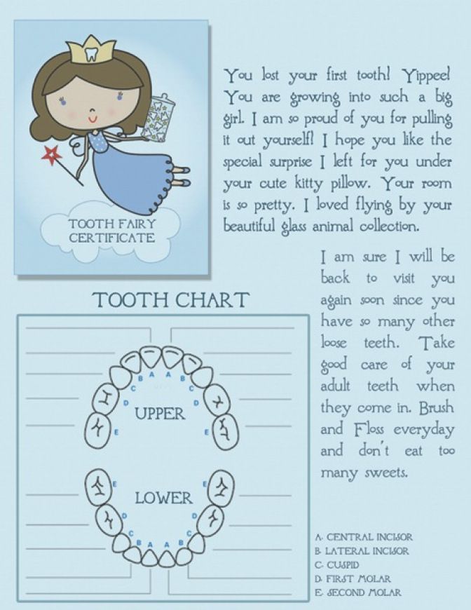 I wish my Tooth Fairy left this for me!