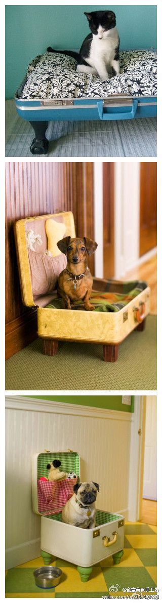 Old suitcase pet beds! // I would do this…