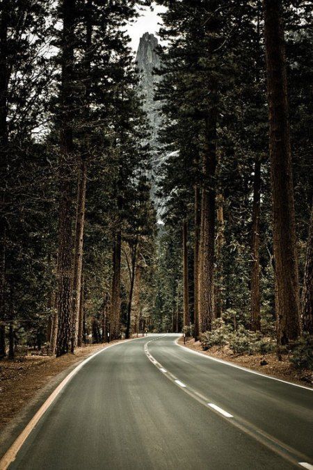 Road to Yosemite National Park / #photography #landscape #nature #yosemite #cali