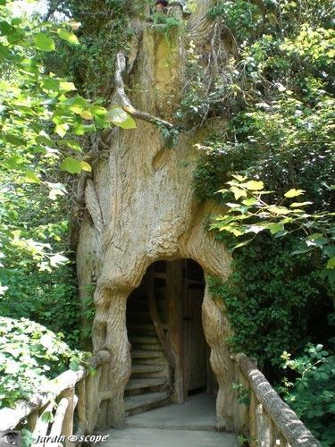 treehouses always inspire