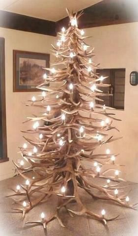 we will have a tree like this one day
