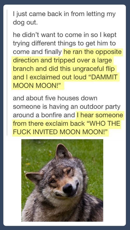 Who invited Moon Moon?
