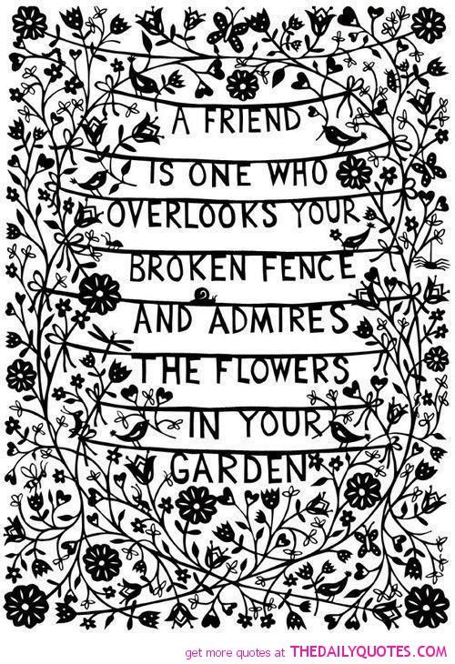 A Friend. I know too many people who love to criticize the broken fence and neve
