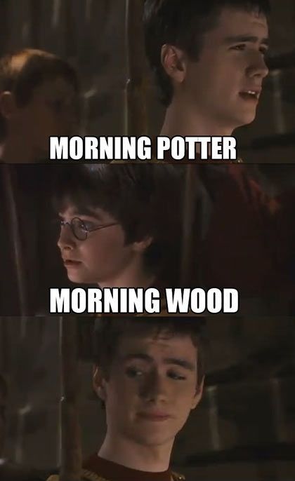 Aaahh, my daily dose of Harry Potter humor. :)