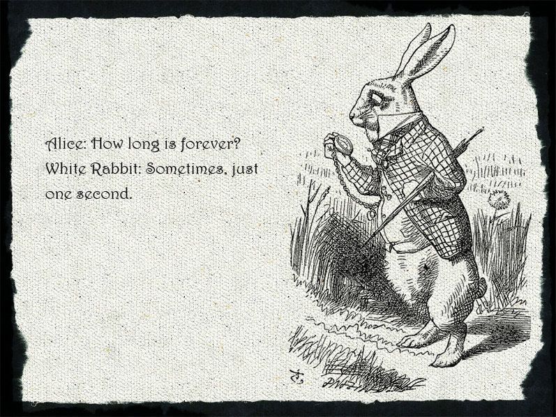 alice in wonderland quote Alice: how long is forever? White Rabbit: sometimes, j