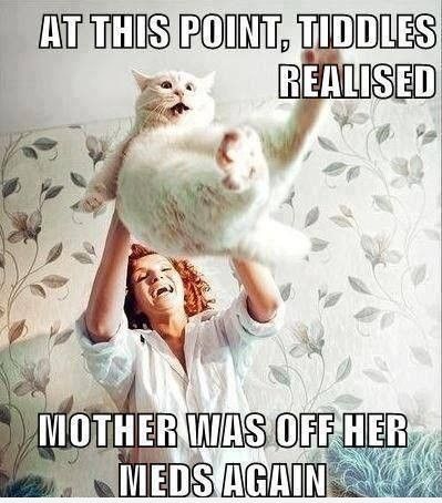 At this point, Tiddles realized that mother was off her meds again…
