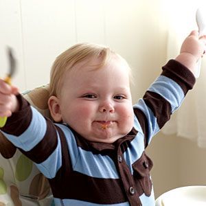 Baby Feeding Timeline: A general timetable of when to introduce foods to your li