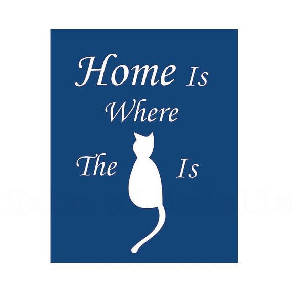 Cat Decor Home Wall Art Pet Print Kitty Lovers by HausofAriella, $15.00