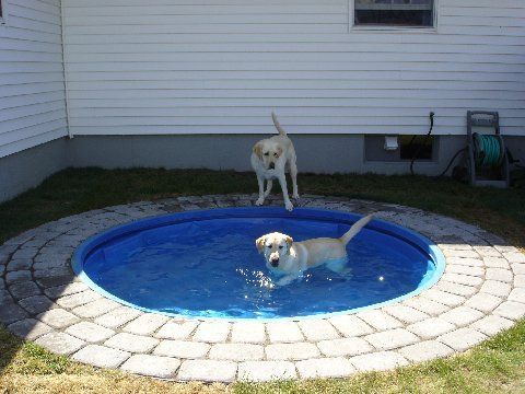 Dog Pond – Place a plastic kiddie pool in the ground. Itd be easy to clean and l