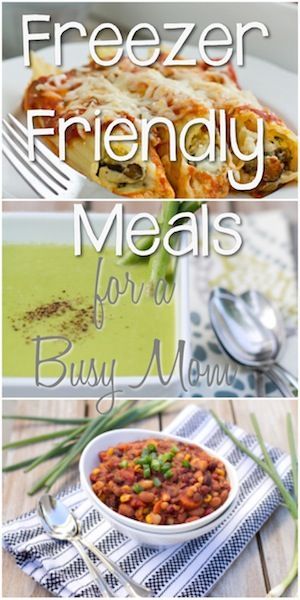 Freezer Friendly Meals for a Busy Mom