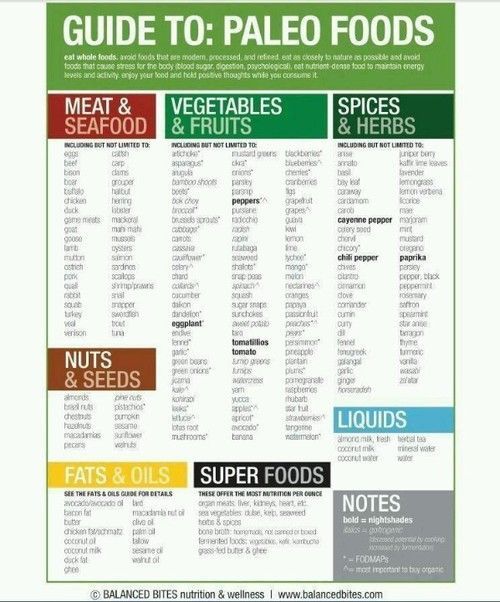 Guide to Paleo Foods…seriously might start eating like this with the start of