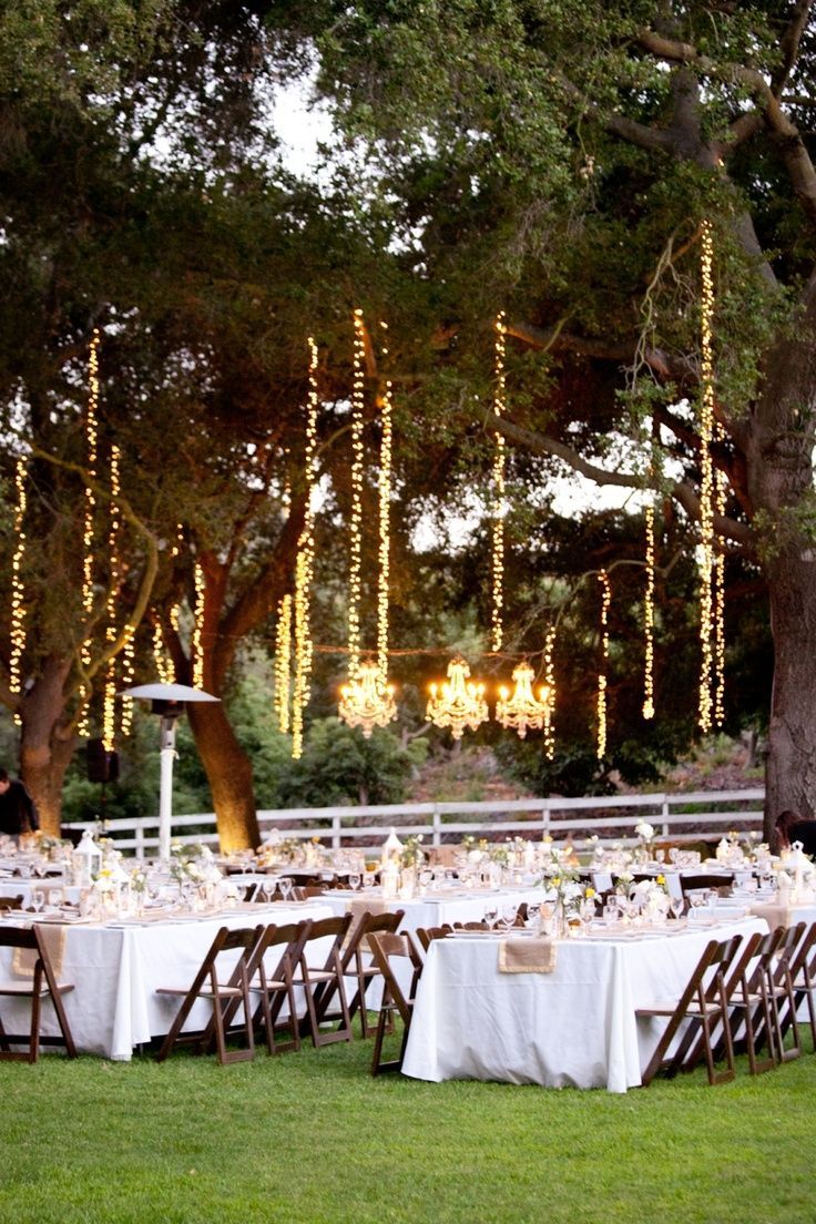 How cool does this string lighting in trees look for this outdoor reception? Pho