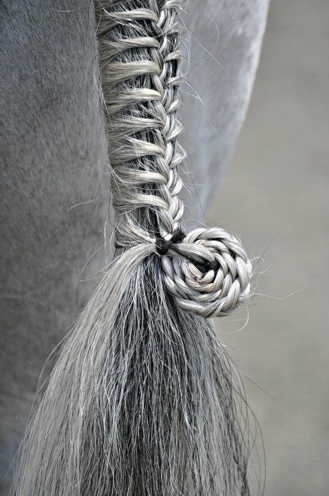 I am SO trying this hairstyle on a horse!!!! :) :) horses can have hairstyles to