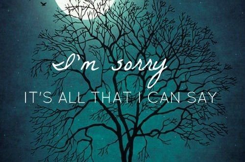 I know it will never be enough, but I am sorry I hurt you.