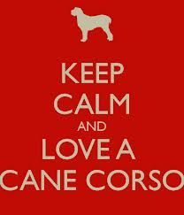 Keep Calm and Love a Cane Corso!