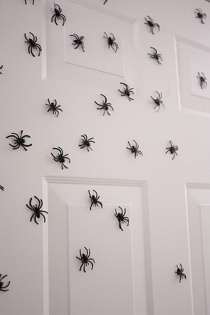 Magnetic spiders for the front door.