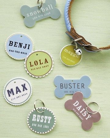 Make Your Pup Something – Doggy DIYs | The Row House Nest