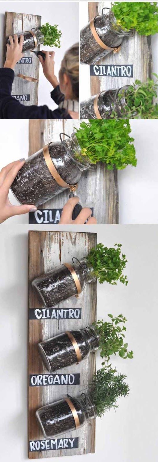 MASON JAR HERB GARDEN – Attractive  clever way to plant fresh herbs without them