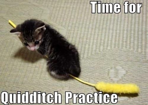 Quidditch practice