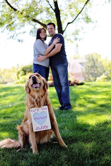 Save The Date by Bethany B. Photography, via Flickr #dog #engagement #shot #wedd