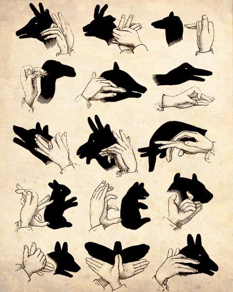 shadow puppet guide: yay! all these years Ive been eeking by with a sad butterfl
