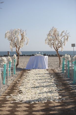 such a pretty beach wedding