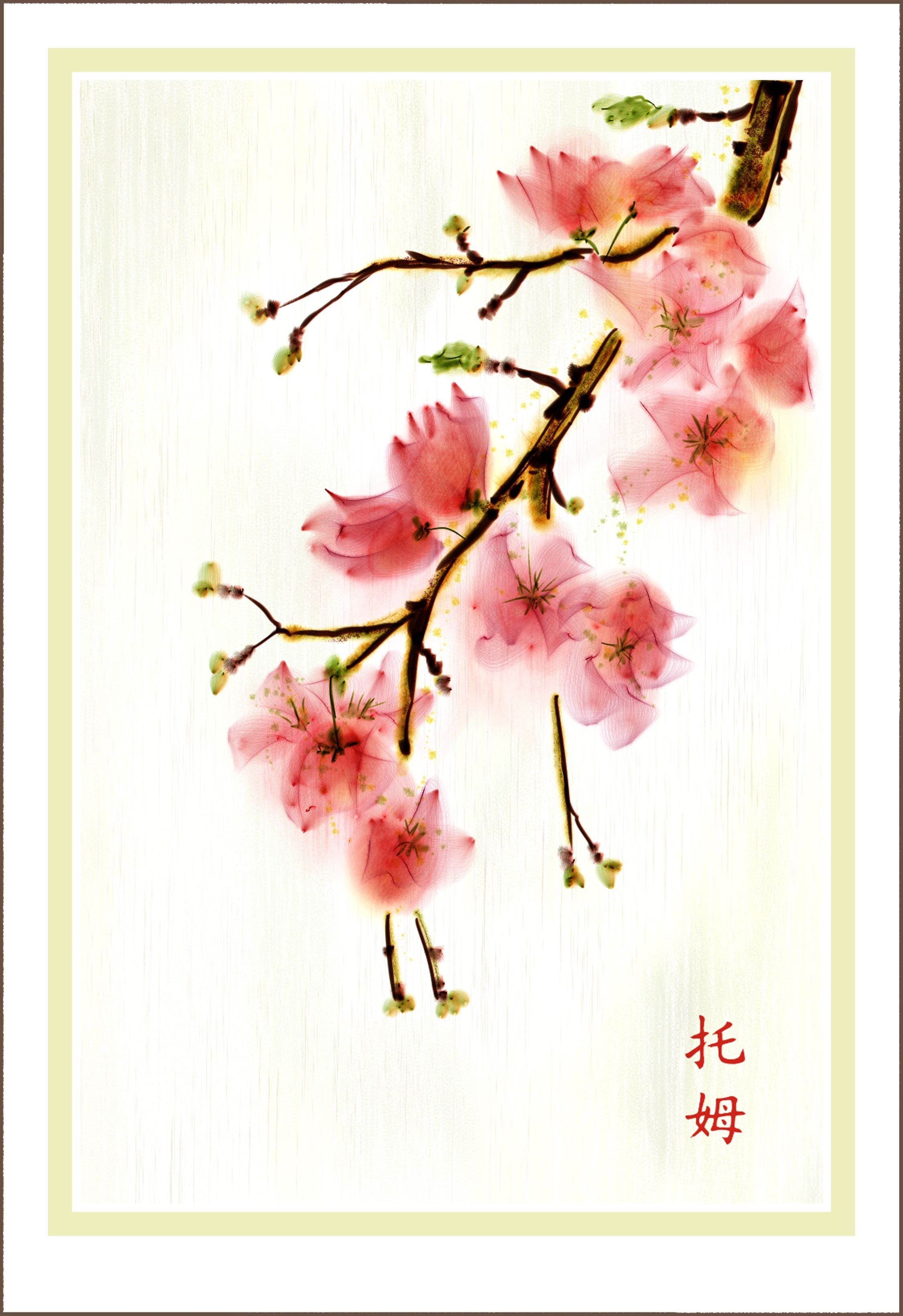 watercolor cherry blossom | Cherry Blossom 3_009 | Skip Allen Paints