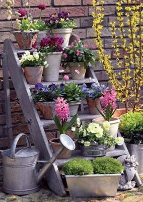 What a lovely way to show off a beautiful garden, even if you are short on space