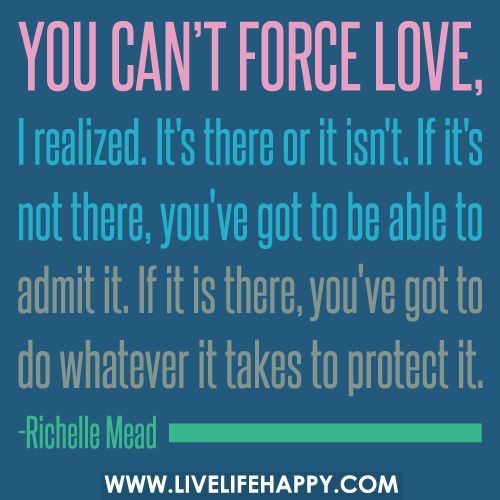 You cant force love, I realized. Its there or it isnt. If its not there, youve g