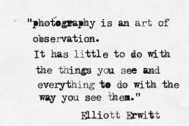 photography quotes – Google Search